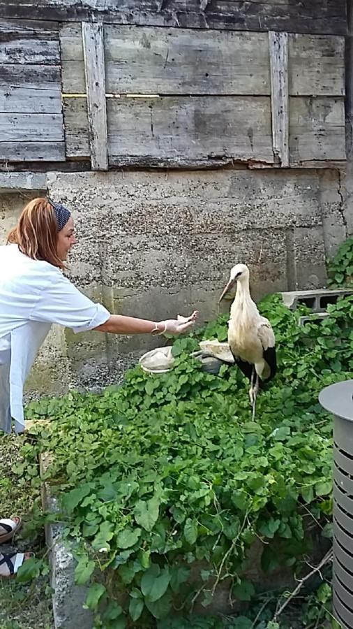 La Legende Des 2 Pierres Διαμέρισμα Eguisheim Εξωτερικό φωτογραφία